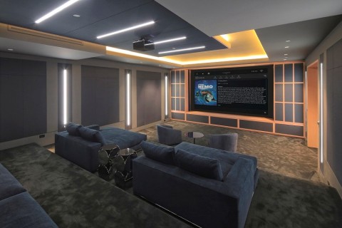 professional home theater systems